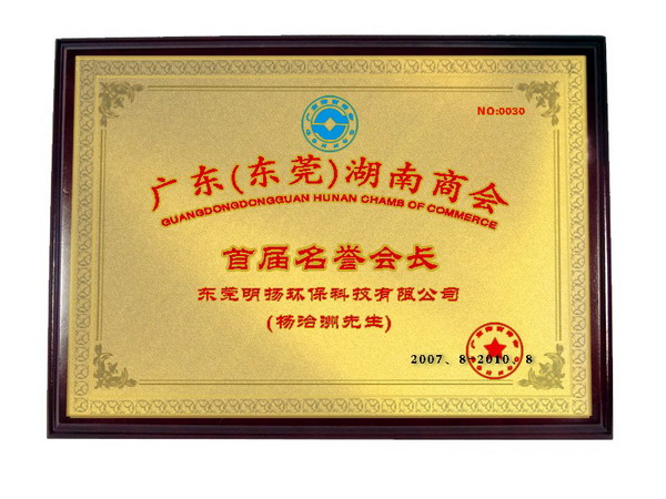 東莞湖南商會 東莞湖南商會